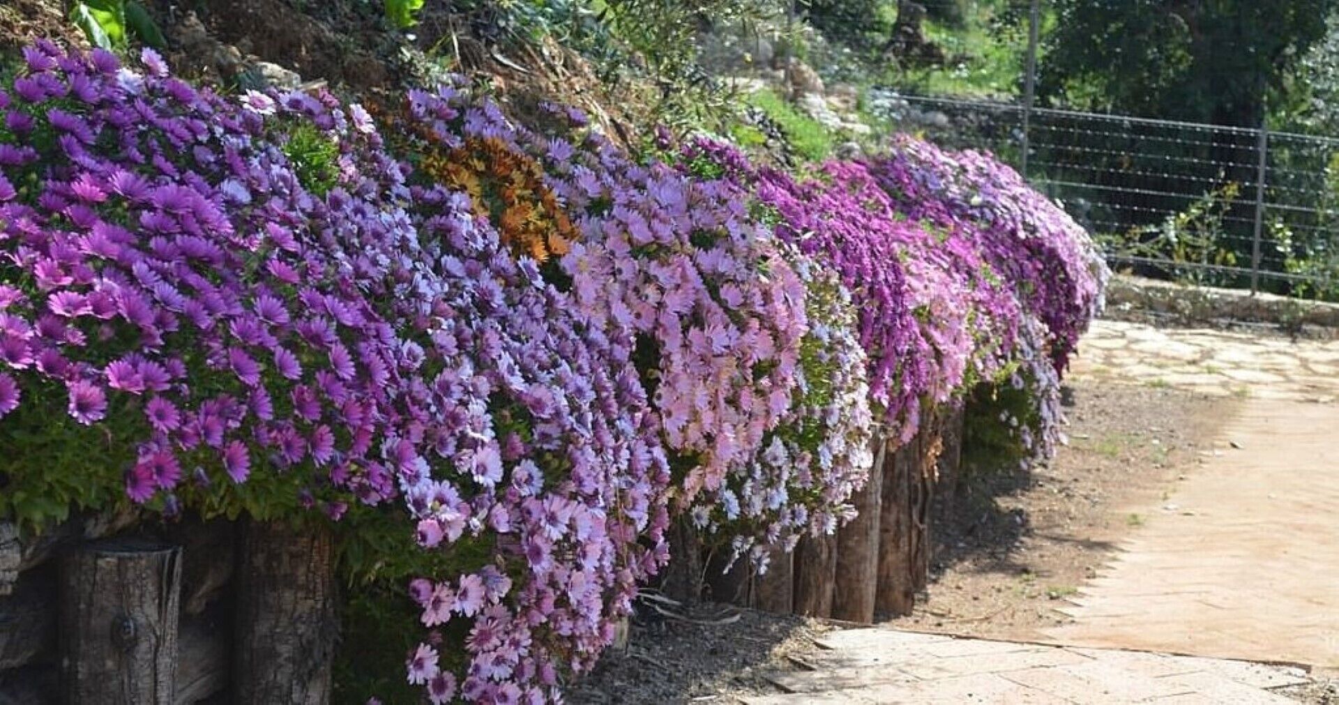 Magnolia Sleeps 6 (2 Bedrooms) Villa With Pool, Hills And Sea Views