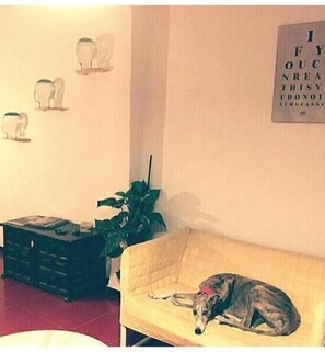 1 habitación y wifi gratis 