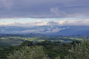 Unclassified image, 3 of 8, button