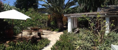 A garden pathway with potted plants, a pergola, and a white umbrella.