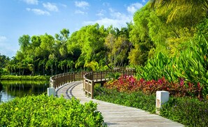 A wooden boardwalk leading to a bridge over a calm body of water, surrounded by lush greenery and tropical plants.