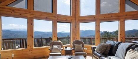 TV connectée, cheminée, jeux vidéo, lecteur de DVD