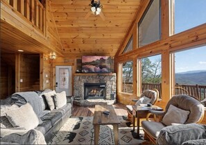 智能电视、壁炉、电子游戏、DVD 播放器