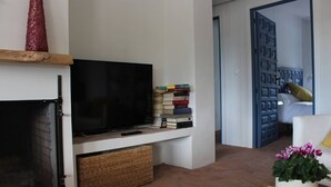Een woonkamer met een televisie, boeken, een open haard en een plant.