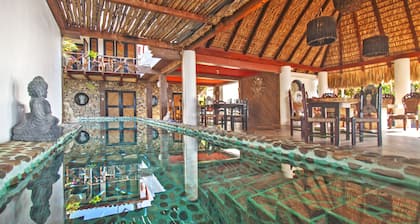 Posada Buda Tortuga