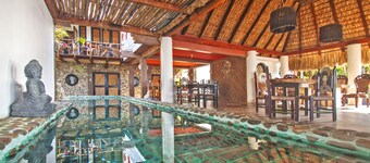 Posada Buda Tortuga