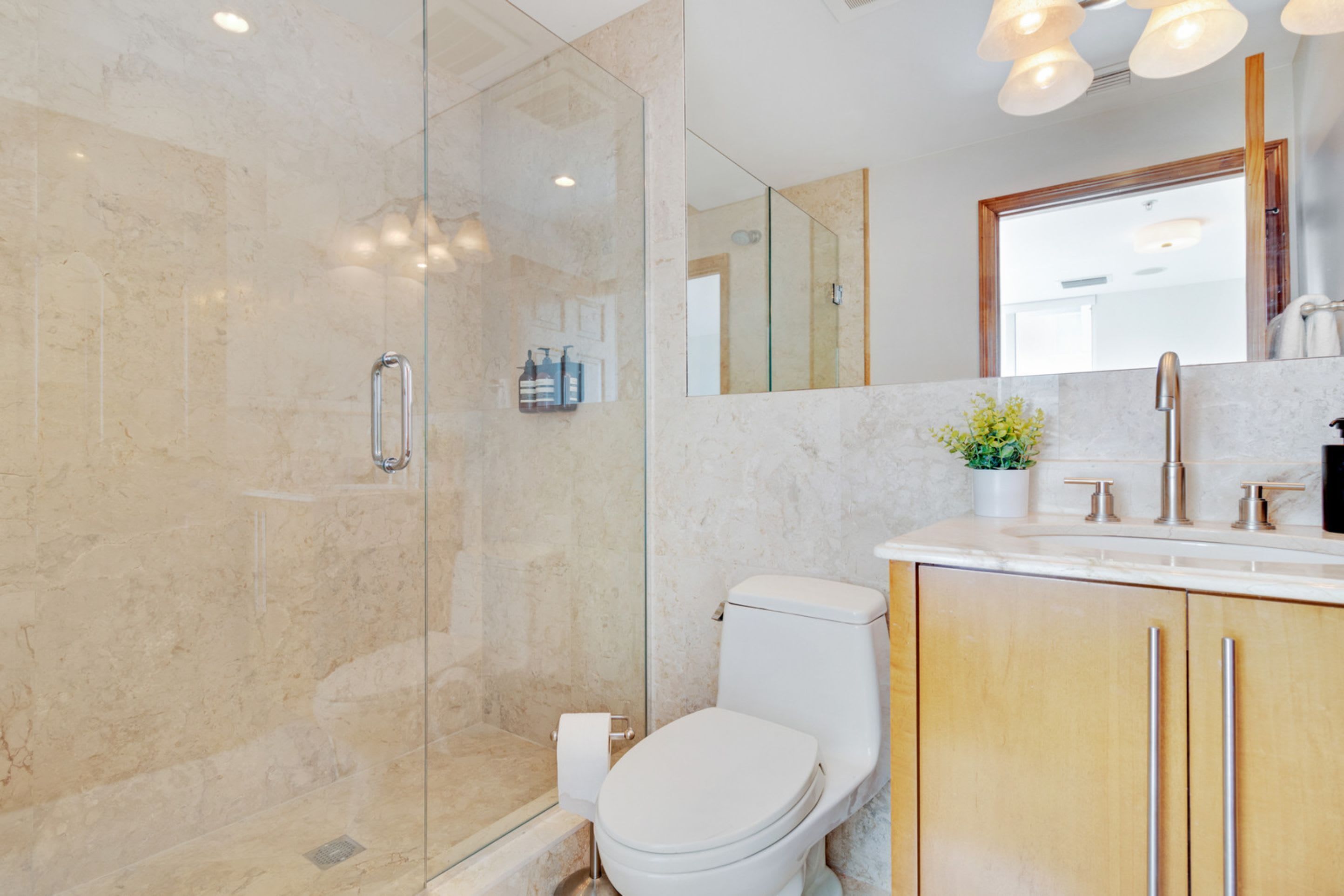 A modern bathroom with a glass-enclosed shower, a toilet, and a vanity with a mirror and sink.