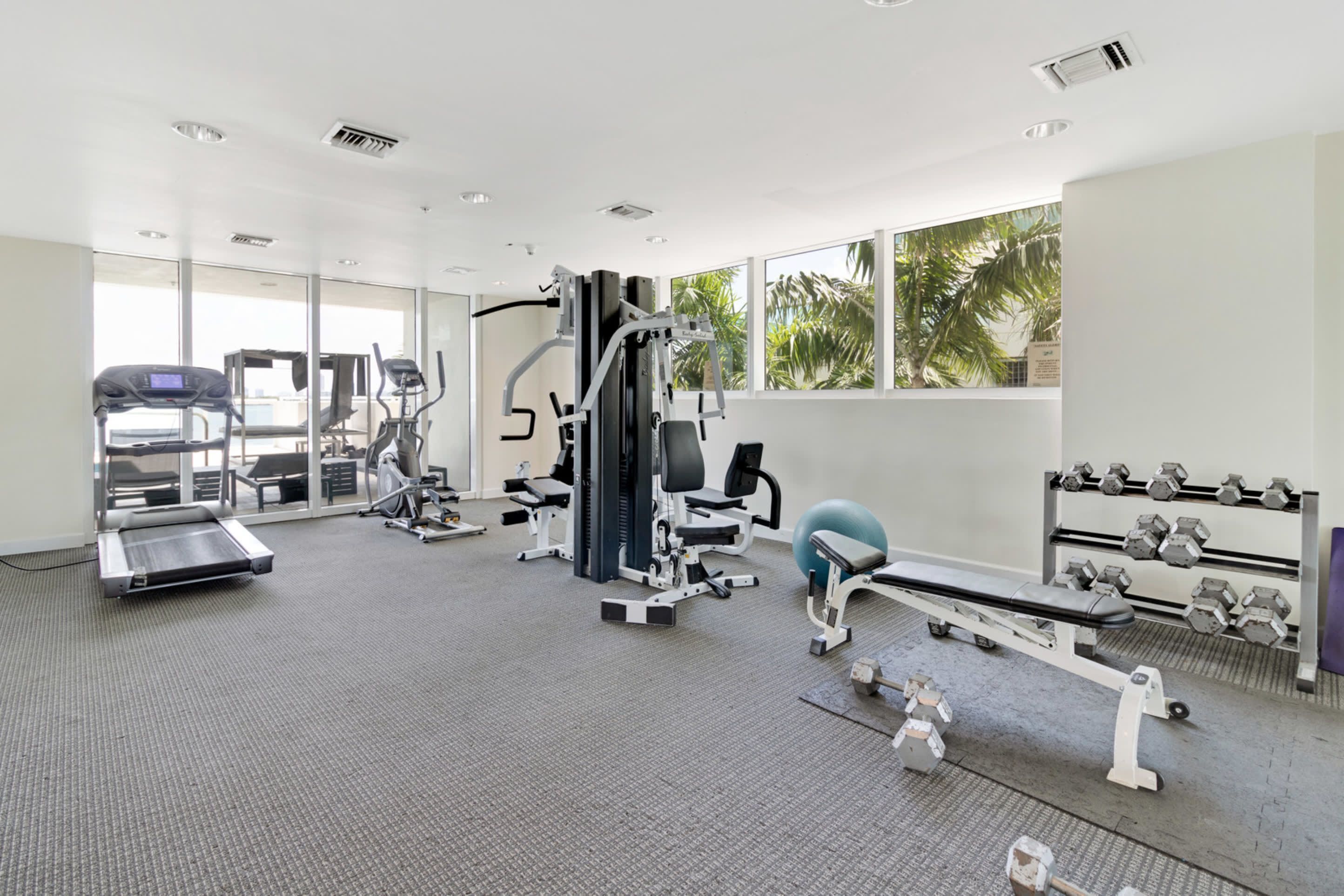 Un gimnasio moderno con máquinas de cardio, equipos de entrenamiento con pesas y mancuernas.