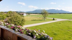 A view from a balcony with a flower box, a path, and a small house in a rural landscape with mountains in the background. - Vacation apartment with south-facing balcony (Riedering)