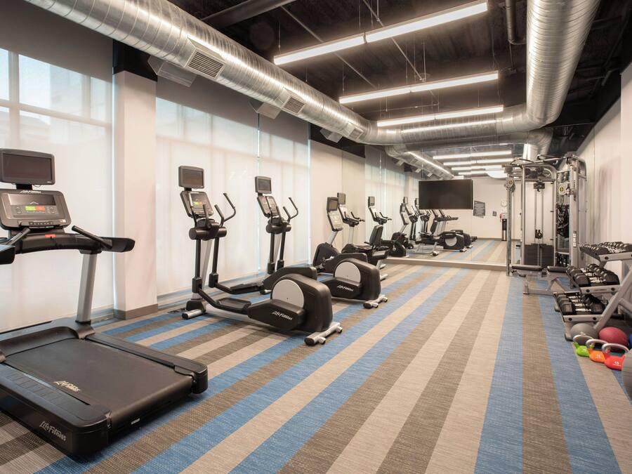A gym with treadmills, elliptical machines, and free weights.