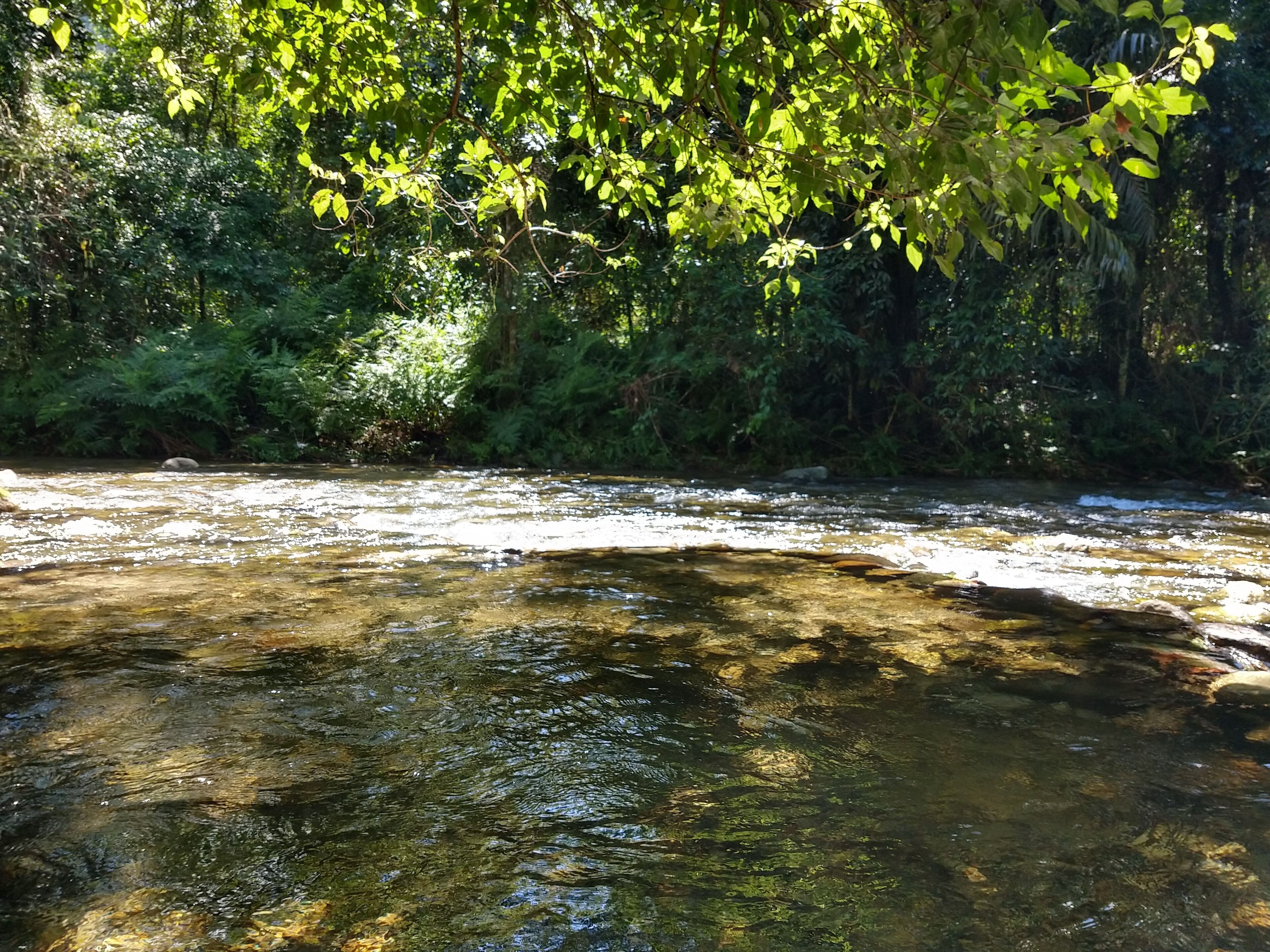 Foto - Pousada Rancho Texas Ubatuba