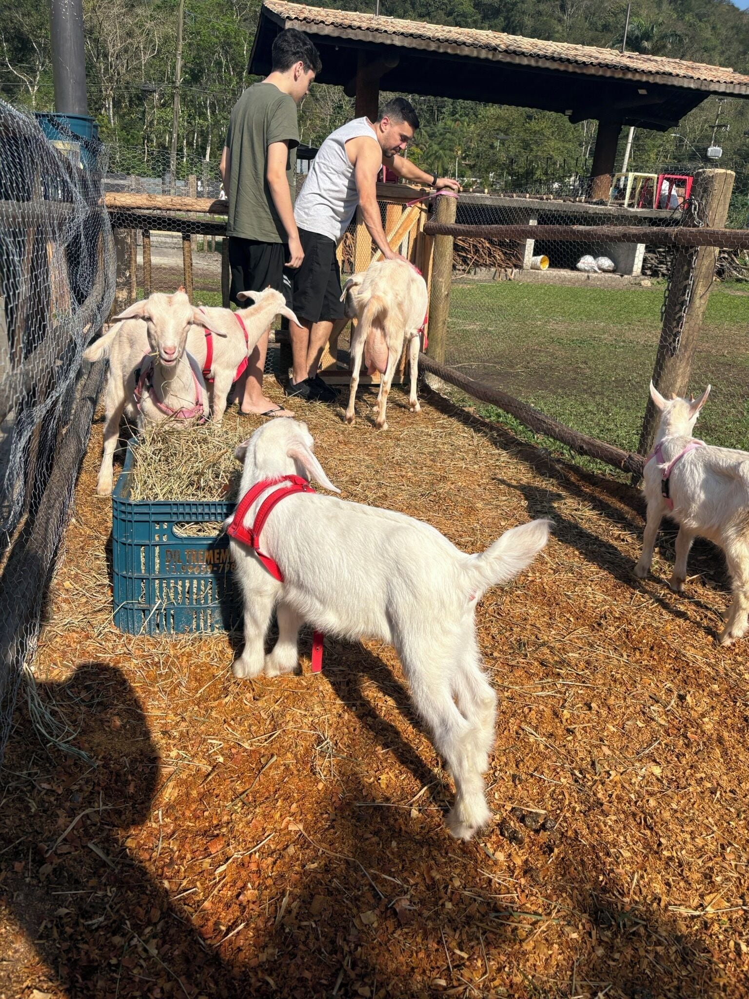 Foto - Pousada Rancho Texas Ubatuba