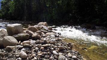 Une rivière à l’eau claire qui serpente sur des rochers et des galets, entourée d’une végétation luxuriante.