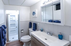 Shower, hair dryer, towels, soap - Spacious Guest Suite with Private Entrance, Hot tub, 2 Bedrooms, 1 Bath (Littleton)
