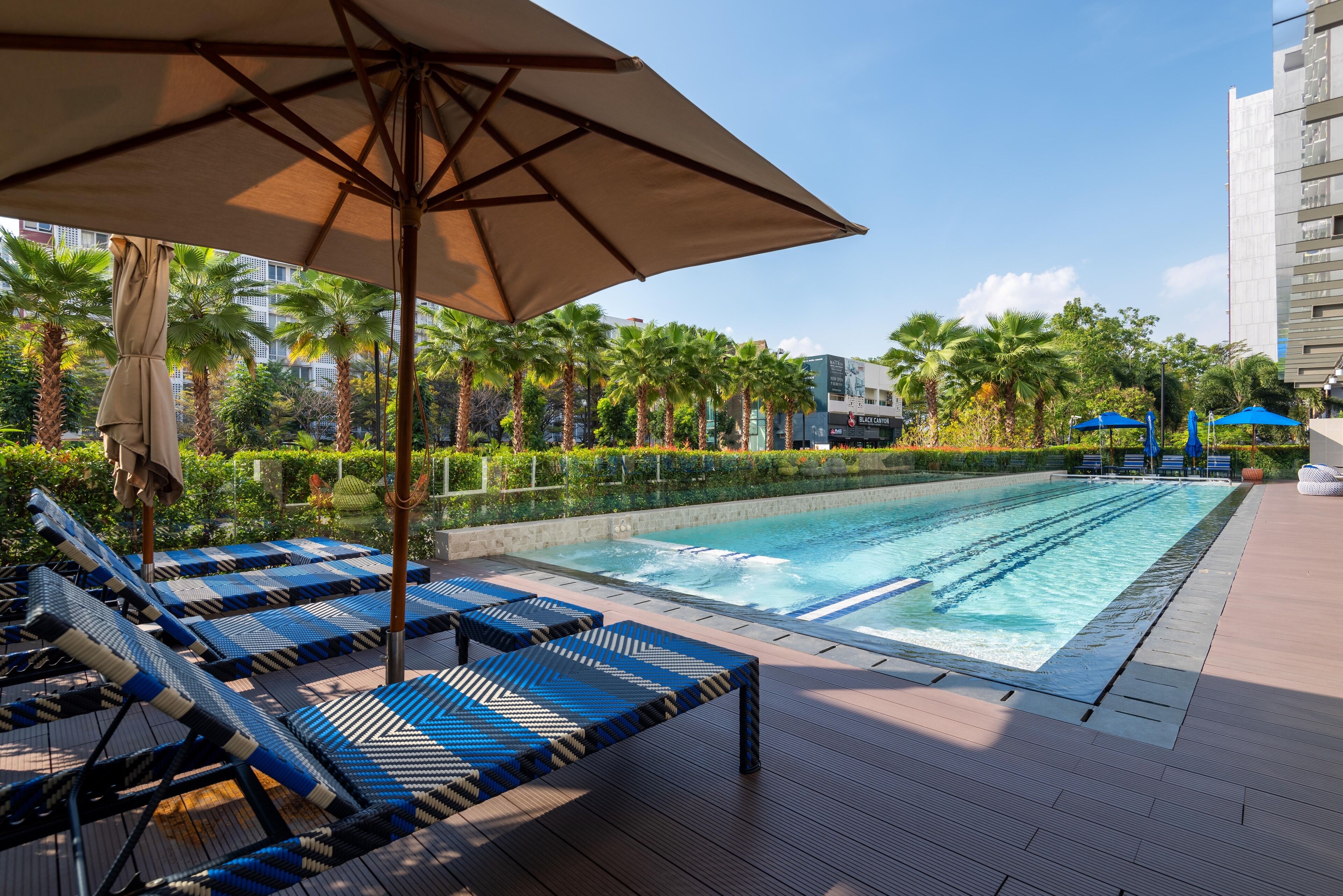 A swimming pool area with lounge chairs and umbrellas, surrounded by palm trees and a cityscape in the background.