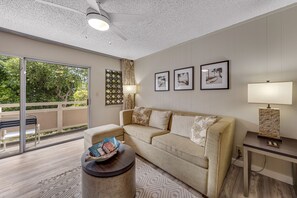 TV, DVD player, books