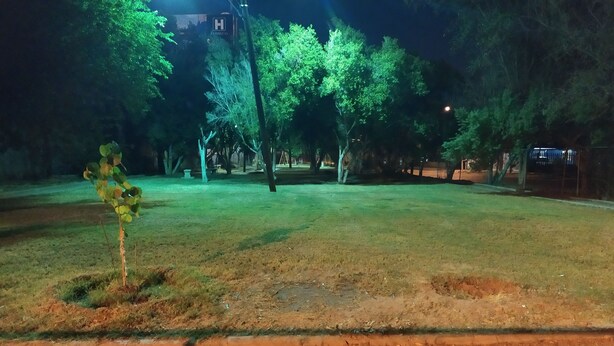 Una vista notturna di un parco con alberi e un percorso ben illuminato.