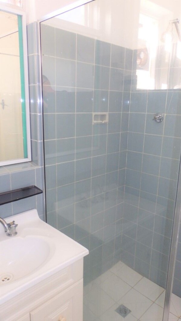 A bathroom with a glass shower enclosure, a white sink, and a mirror.