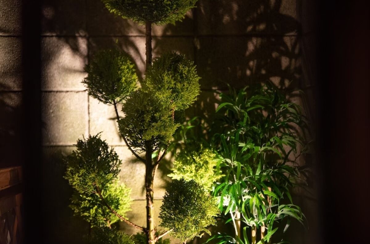 A small indoor garden with various potted plants and a stone wall in the background.