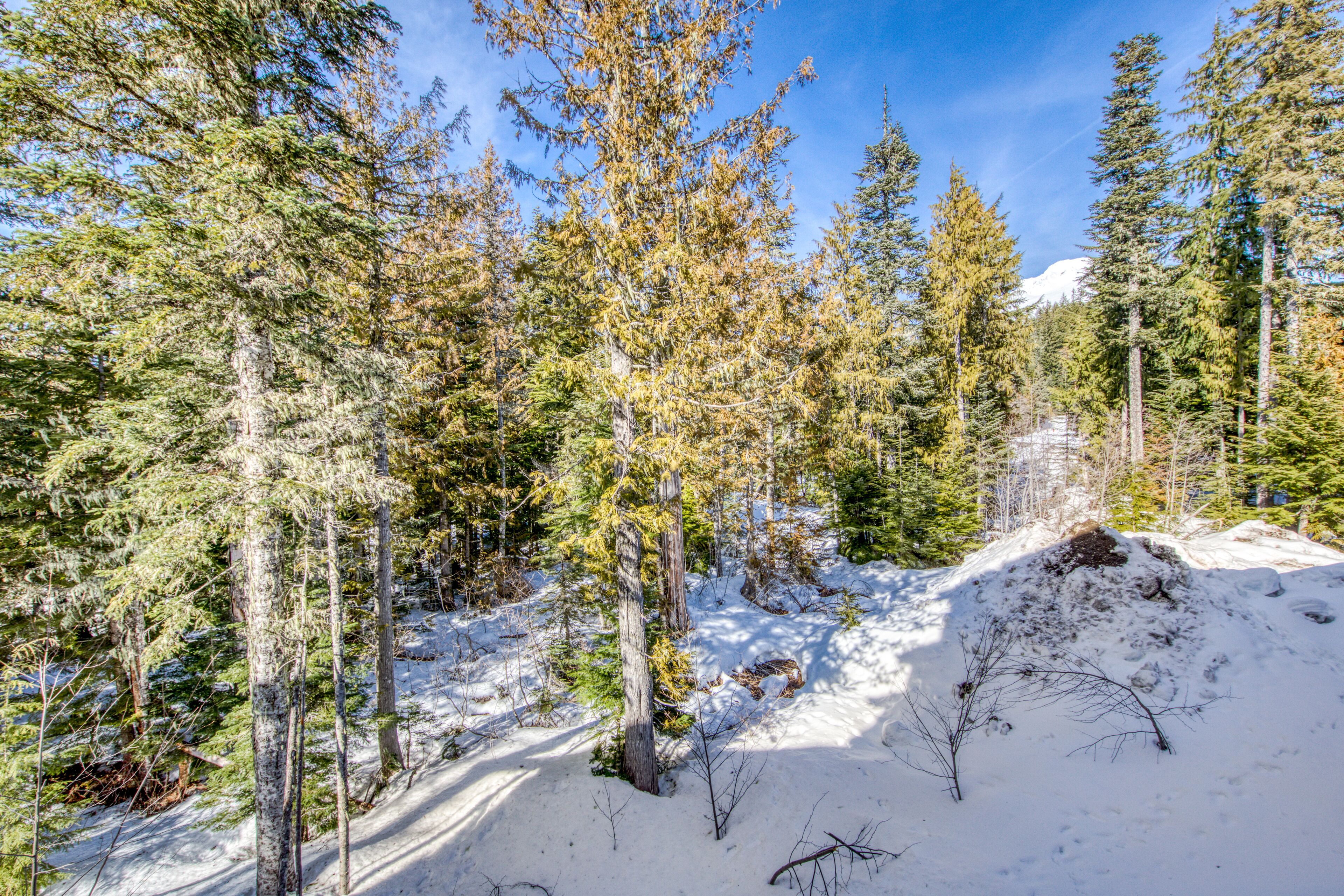 Stunning resort condo w/luxury amenities, shared pool & easy access to slopes!