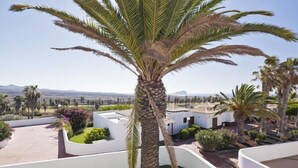 A palm tree in a landscaped area with a view of a desert landscape and distant mountains. - Aqua Vista, Golf del Sur (San Miguel de Abona, Golf del Sur)