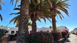 A row of palm trees and flowering bushes in front of a building with white walls and terracotta roofs.