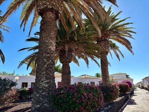 Property grounds - Horizon Hideaway, Golf del Sur (San Miguel de Abona)