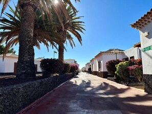 A street lined with white buildings, palm trees, and flowering plants.