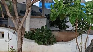Property grounds - Colorful Cloudy Villa (Hengchun)
