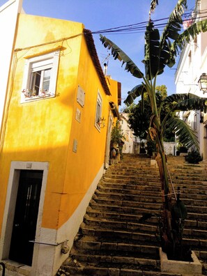 Área da propriedade