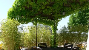 Un patio al aire libre con mesa y sillas, rodeado de follaje y una pérgola.