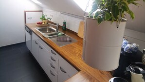 A kitchen with a wooden countertop, a hanging plant, a kettle, and a dishwasher. - Vacation Apartment "Ländle" (Dauchingen)