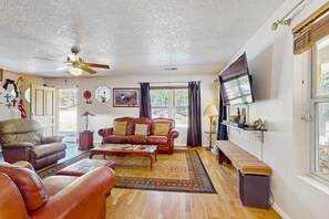 TV, fireplace, books