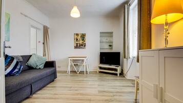 TV, DVD player, books, video library