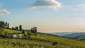 A vineyard with a house on a hillside. - VILLA SOURROUNDED WITH VINEYARDS - BORGO CASANOVA (Pontassieve)
