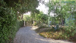 A gravel path leading through a garden with dense foliage on both sides. - Cottage Vittoria (Portoferraio)