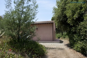 A small, single-story building with a flat roof, surrounded by dense greenery and trees.