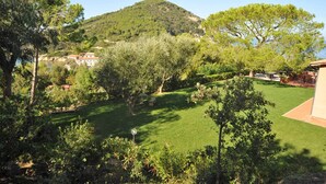 A lush garden with a variety of trees and shrubs, a well-maintained lawn, and a building in the background.