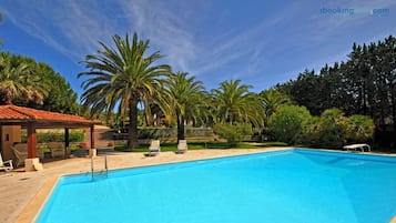 Seasonal outdoor pool, pool umbrellas, pool loungers