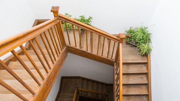 Un escalier en bois, doté d’une rampe et d’un palier agrémenté de plantes.