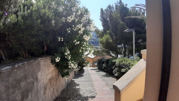 A narrow pathway flanked by lush greenery and a clear sky. - Casa Isotta (Bonassola)