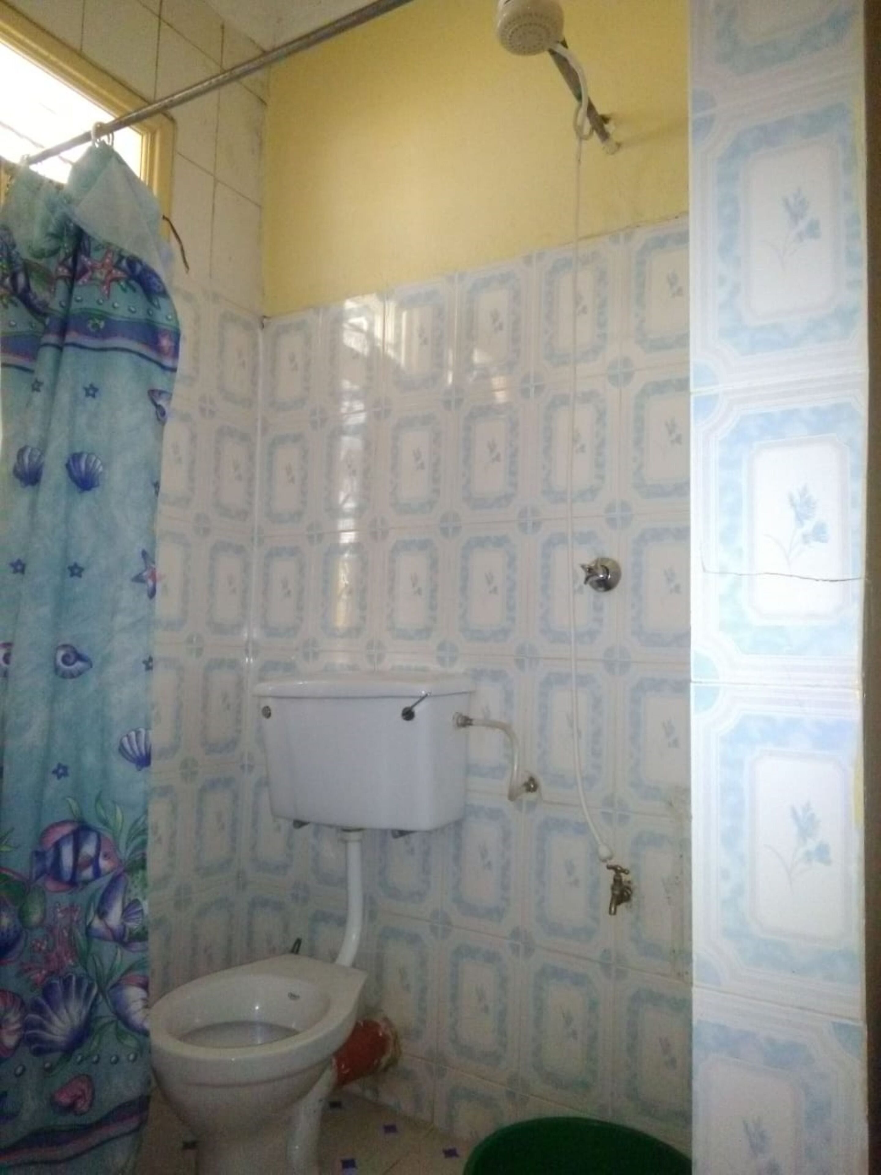 A bathroom with a toilet, a shower, and a green bucket.