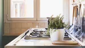 A kitchen with a gas stove, a cutting board, and a potted plant. - Genovesi RTH (Rome)