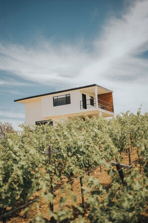 Exterior - Quinta Nicolás Valle de Guadalupe (Valle de Guadalupe)