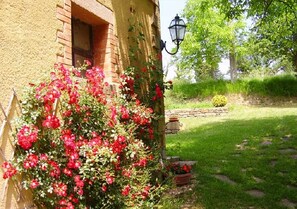 Detalle exterior