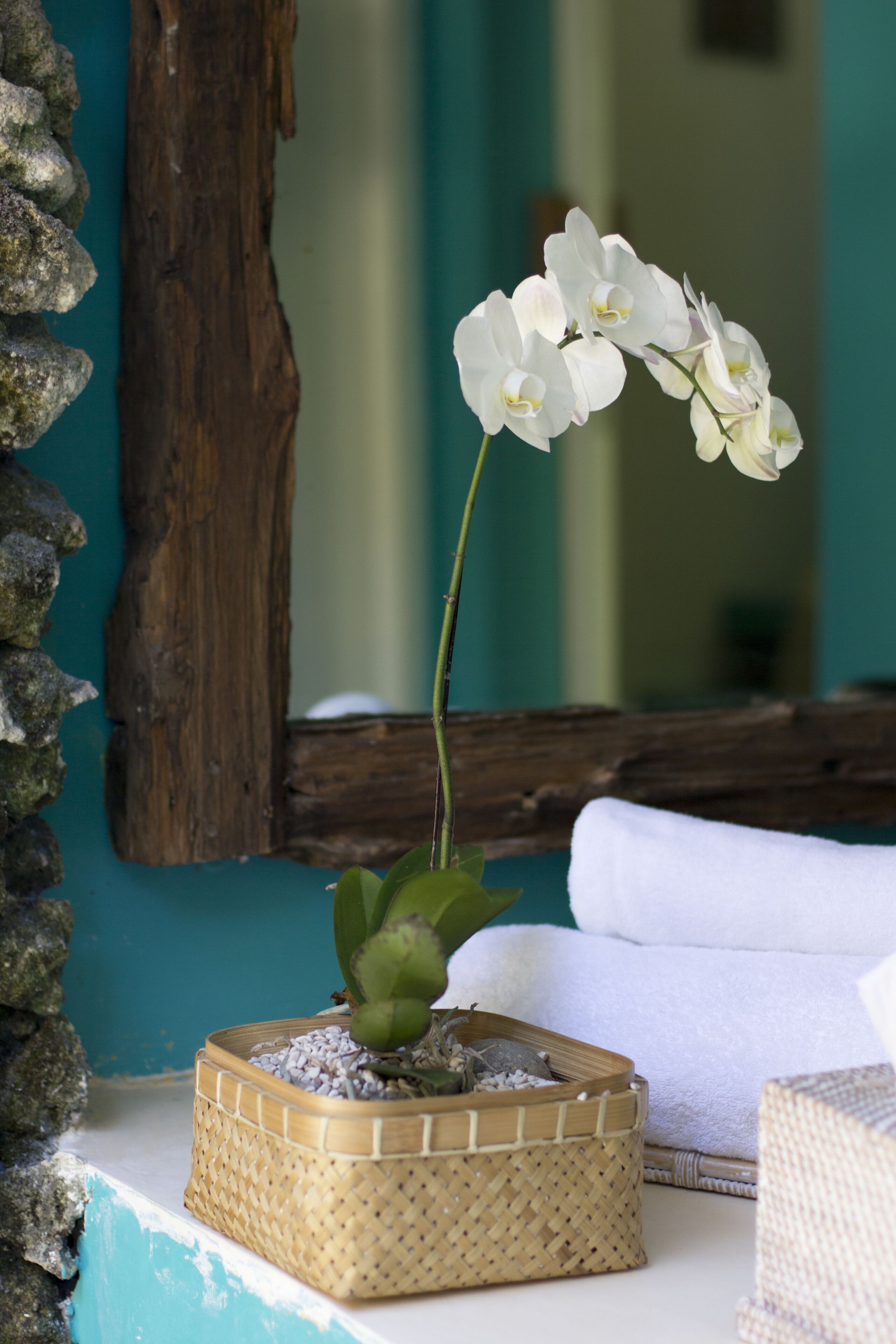 A white orchid in a woven basket on a white surface with a wooden backdrop and a mirror reflecting a teal wall.