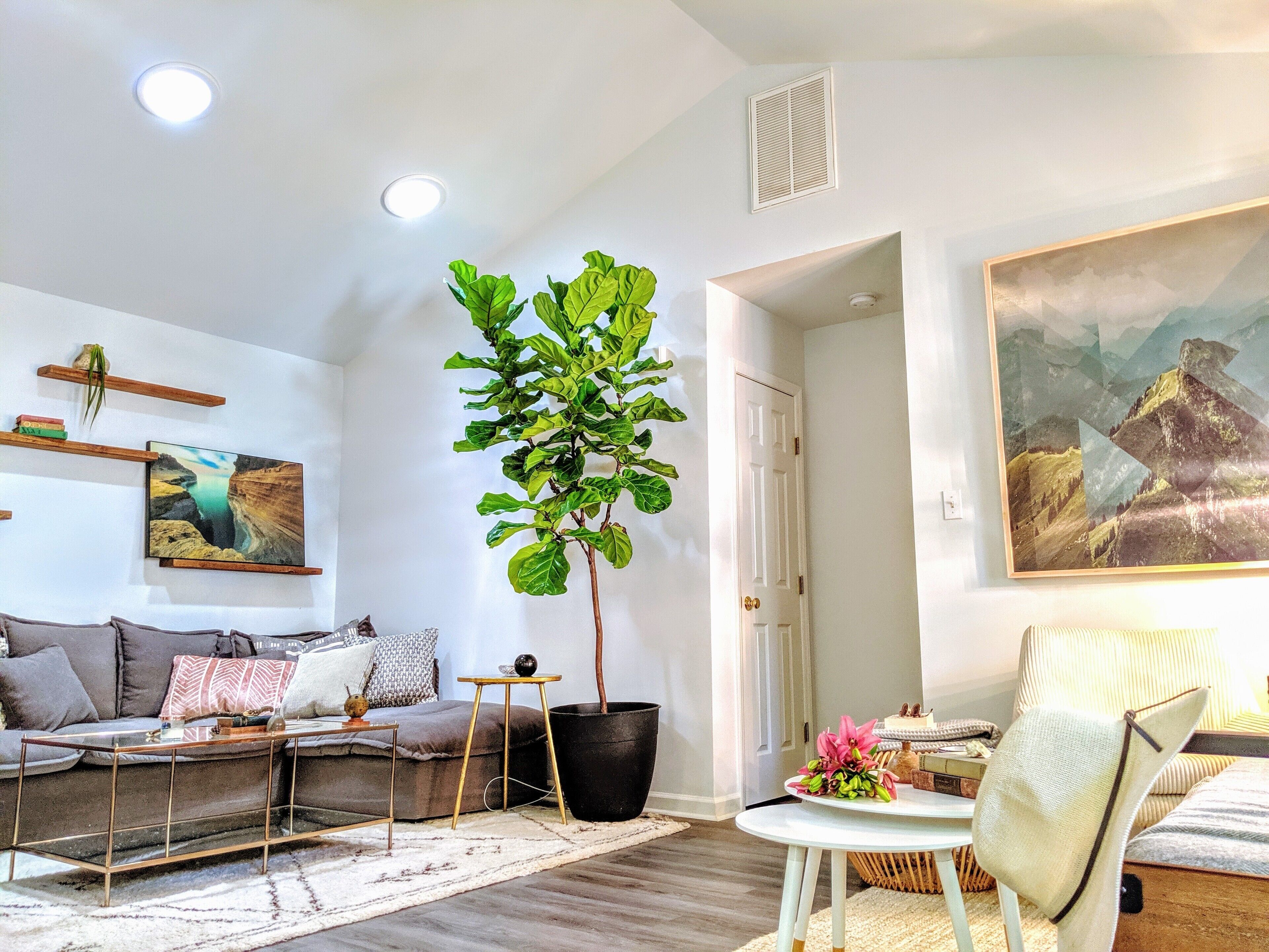 A modern living room with a sofa, coffee table, potted plant, and artwork on the walls.