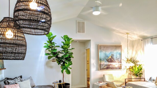 A modern living room with a sofa, coffee table, and decorative plants. - RARE⭐️DownTown Matthews ❤️Walk to Shops Restaurants Hiking❤️20 min to Charlotte (Matthews)