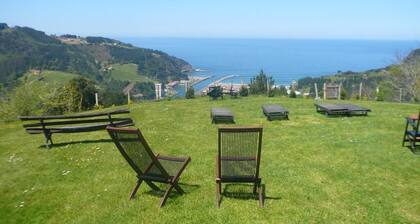 Arriola Txiki Estudio - Arbil