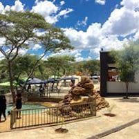 Un espacio al aire libre con piscina, una formación rocosa y árboles.